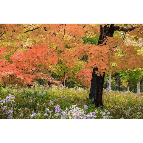 Autumn Splendor Gold Ornate Wood Framed Art Print with Double Matting by Varona, Verne