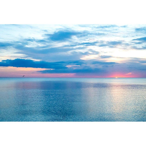 Calm Black Modern Wood Framed Art Print by Varona, Verne