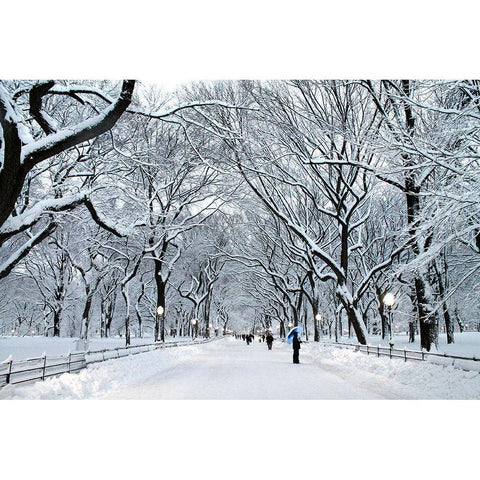 White Wonder White Modern Wood Framed Art Print by Varona, Verne