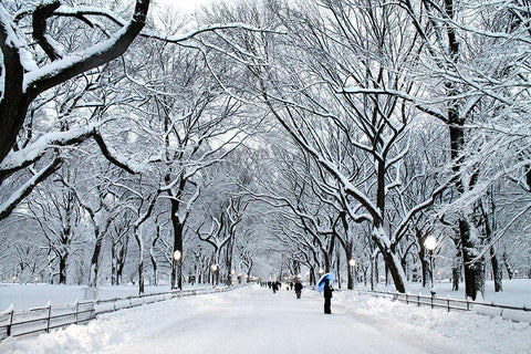 White Wonder White Modern Wood Framed Art Print with Double Matting by Varona, Verne