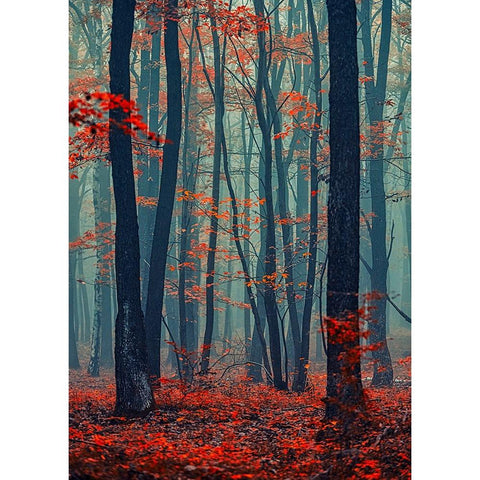 Autumn Forest In The Mist White Modern Wood Framed Art Print by Vitomirov, Igor