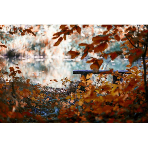 Lonely Place Black Modern Wood Framed Art Print with Double Matting by Vitomirov, Igor