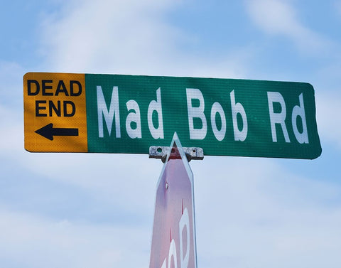 Mad Bob Black Modern Wood Framed Art Print by Vaughn, Steve