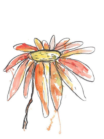 Orange Modern Botanical White Modern Wood Framed Art Print with Double Matting by Weiss, Jan