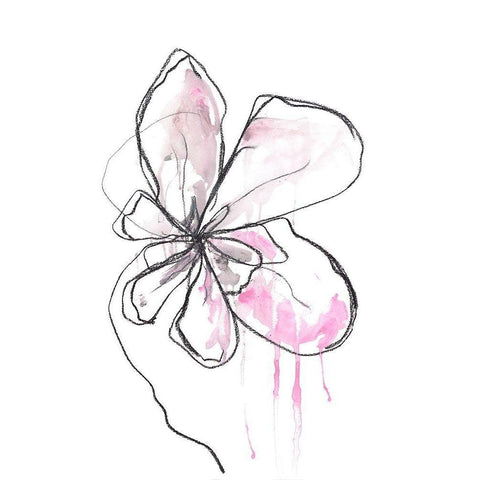 Pink Modern Botanical Black Modern Wood Framed Art Print with Double Matting by Weiss, Jan