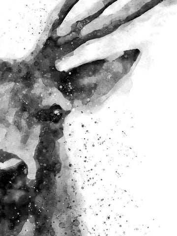 Deer At Attention Black Ornate Wood Framed Art Print with Double Matting by Wong, Brandon