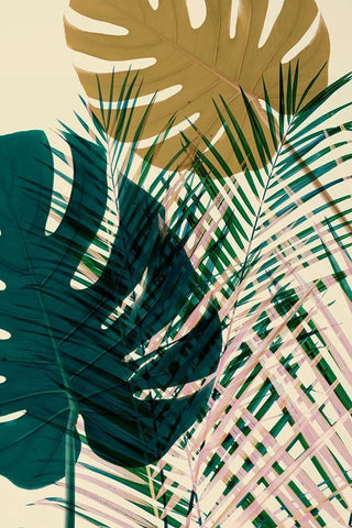 Exsposure 5 White Modern Wood Framed Art Print with Double Matting by Winstanley, Ian