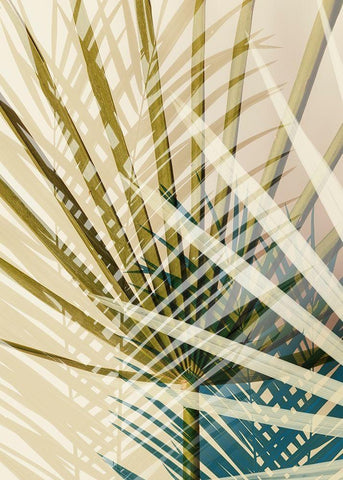 Exsposure 8 White Modern Wood Framed Art Print with Double Matting by Winstanley, Ian