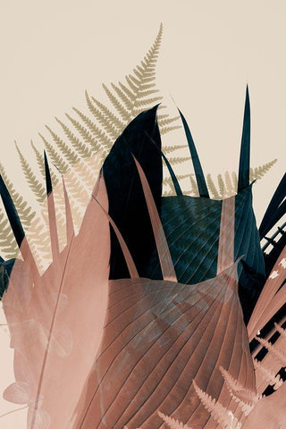 Welcome to the Jungle 26 Black Ornate Wood Framed Art Print with Double Matting by Winstanley, Ian