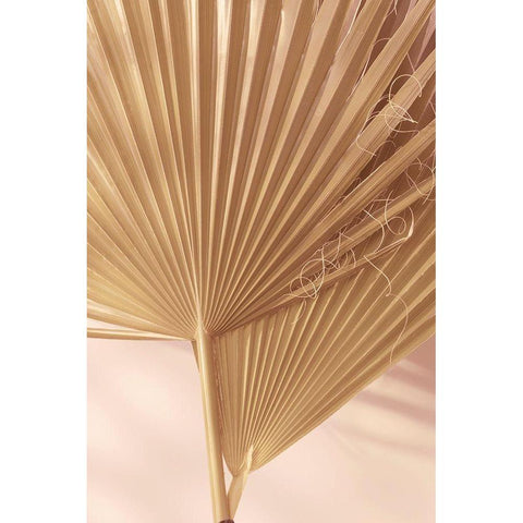 Pastel Fan 1 Gold Ornate Wood Framed Art Print with Double Matting by Winstanley, Ian