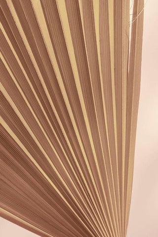 Pastel Fan 2 Black Ornate Wood Framed Art Print with Double Matting by Winstanley, Ian