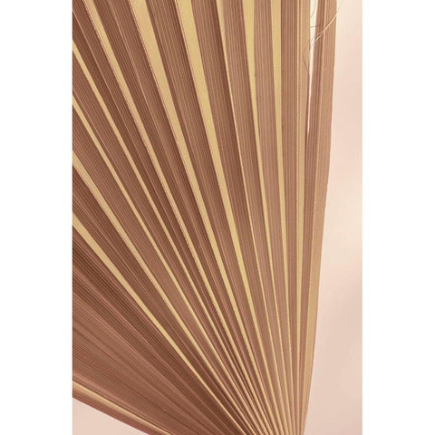 Pastel Fan 2 White Modern Wood Framed Art Print by Winstanley, Ian