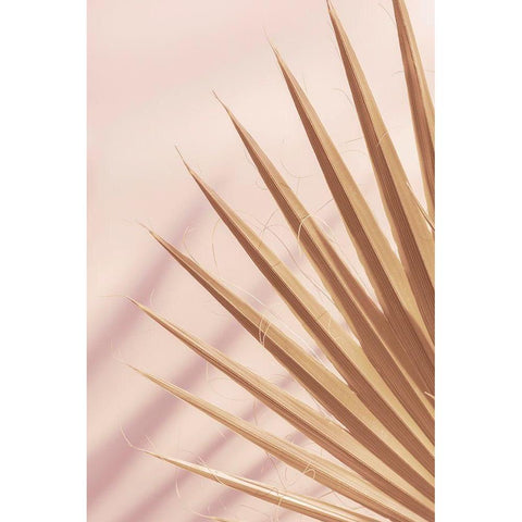 Pastel Fan 4 Black Modern Wood Framed Art Print with Double Matting by Winstanley, Ian