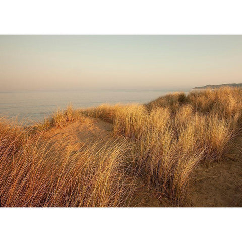 Dunes with Seagulls 7 White Modern Wood Framed Art Print by Winstanley, Ian