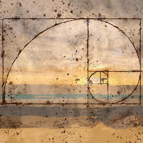 Fibonacci Shell White Modern Wood Framed Art Print with Double Matting by Wiley, Marta
