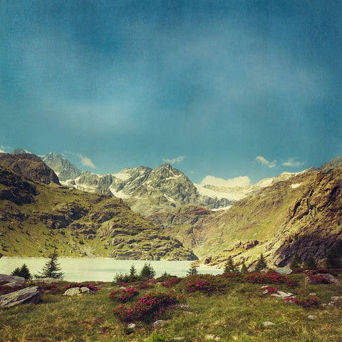 Take Me To The Mountains No. 2 Black Modern Wood Framed Art Print by Wustenhagen, Dirk