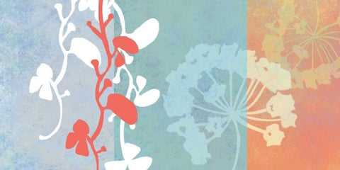 Coral Flowers White Modern Wood Framed Art Print with Double Matting by Weiss, Jan