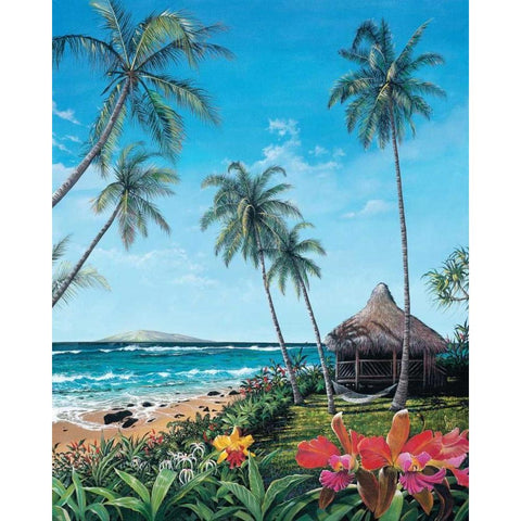 Maui Morning Black Modern Wood Framed Art Print with Double Matting by Westmoreland, Scott
