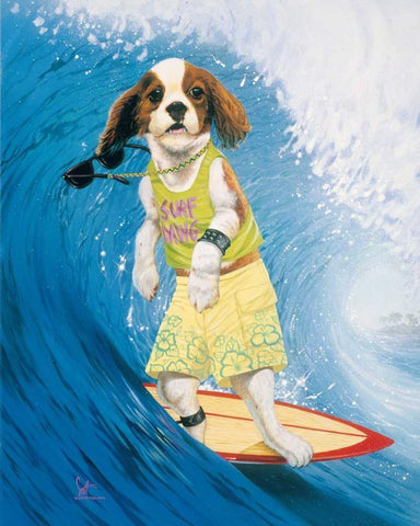 Surf Dawg White Modern Wood Framed Art Print with Double Matting by Westmoreland, Scott