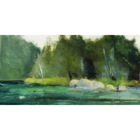 Lily Pond and Dark Woods Black Modern Wood Framed Art Print by Wakefield, Martha