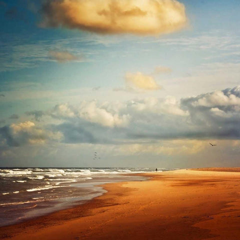 Dream Beach Gold Ornate Wood Framed Art Print with Double Matting by Wuestenhagen, Dirk