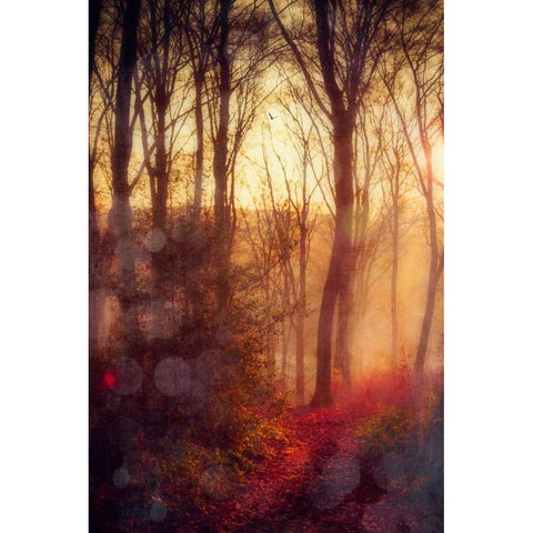 Seasons Light Black Modern Wood Framed Art Print with Double Matting by Wuestenhagen, Dirk