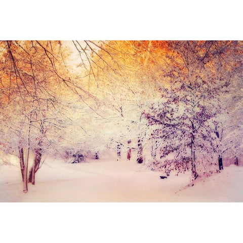 Snowy Sunrise Black Modern Wood Framed Art Print with Double Matting by Wuestenhagen, Dirk