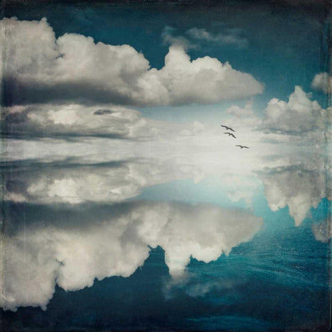 Spaces II - Sea of Clouds Black Ornate Wood Framed Art Print with Double Matting by Wuestenhagen, Dirk