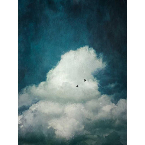 The Cloud White Modern Wood Framed Art Print by Wuestenhagen, Dirk