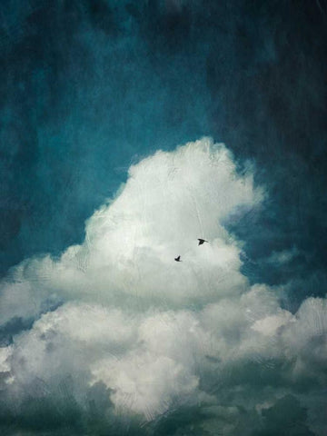 The Cloud White Modern Wood Framed Art Print with Double Matting by Wuestenhagen, Dirk
