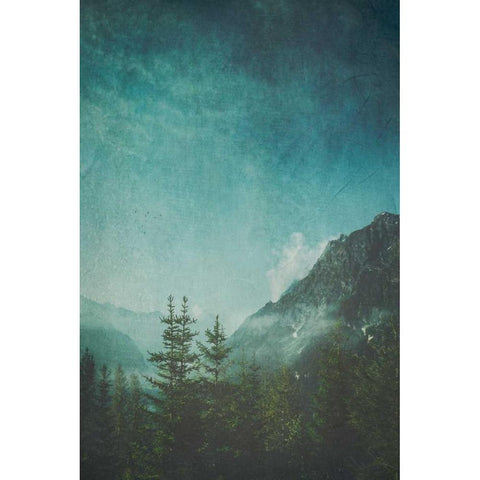 Valley View Black Modern Wood Framed Art Print by Wuestenhagen, Dirk