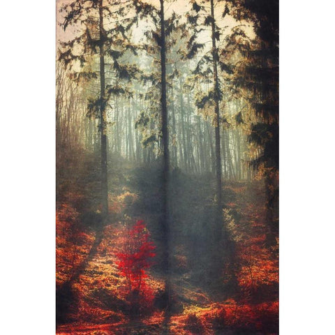 Weight of Light Gold Ornate Wood Framed Art Print with Double Matting by Wuestenhagen, Dirk
