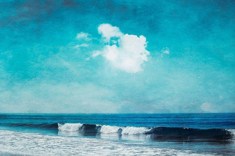Sea Blues Black Ornate Wood Framed Art Print with Double Matting by Wuestenhagen, Dirk