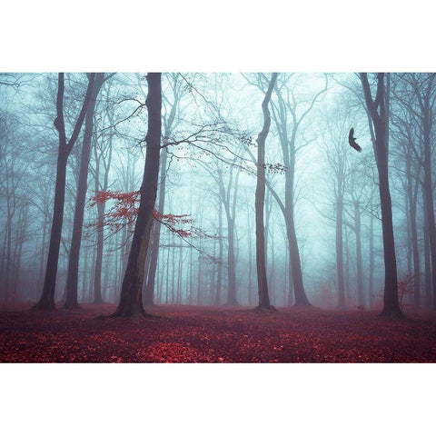 Solstice in Fog Black Modern Wood Framed Art Print by Wuestenhagen, Dirk