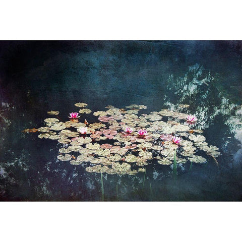 Waterlilies Black Modern Wood Framed Art Print with Double Matting by Wuestenhagen, Dirk