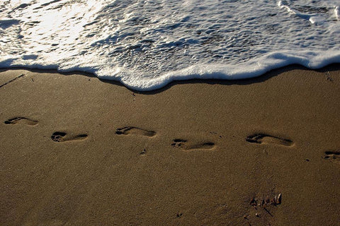 Footprints Black Ornate Wood Framed Art Print with Double Matting by White, Lynda