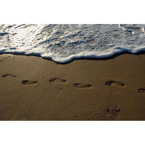 Footprints White Modern Wood Framed Art Print by White, Lynda
