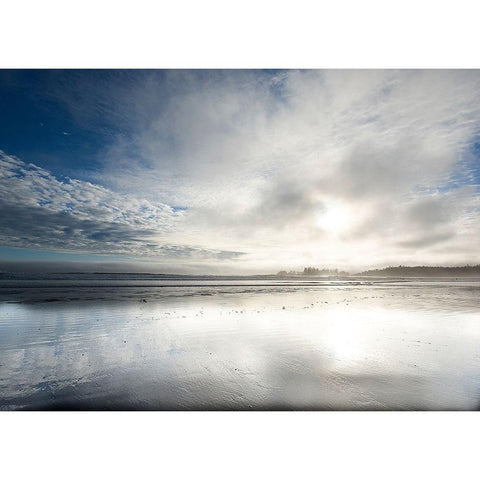 Long Beach Black Modern Wood Framed Art Print by White, Lynda
