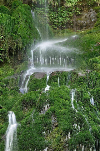 Moss Waterfall White Modern Wood Framed Art Print with Double Matting by White, Lynda