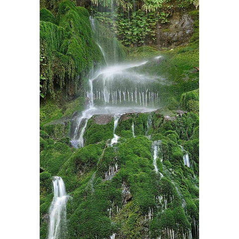 Moss Waterfall Black Modern Wood Framed Art Print by White, Lynda