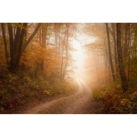 Familiar Dream Gold Ornate Wood Framed Art Print with Double Matting by Zephyr, Patrick