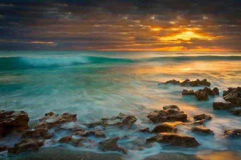 Timeless Black Ornate Wood Framed Art Print with Double Matting by Zephyr, Patrick