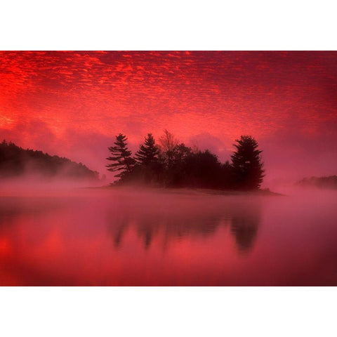 Islands In The Pink Black Modern Wood Framed Art Print with Double Matting by Zephyr, Patrick
