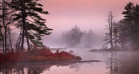Pink Fog White Modern Wood Framed Art Print with Double Matting by Zephyr, Patrick