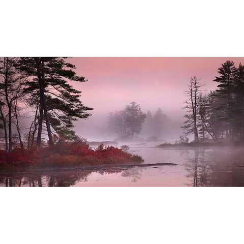 Pink Fog Gold Ornate Wood Framed Art Print with Double Matting by Zephyr, Patrick