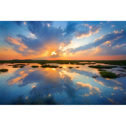 Plum Island Black Modern Wood Framed Art Print by Zephyr, Patrick