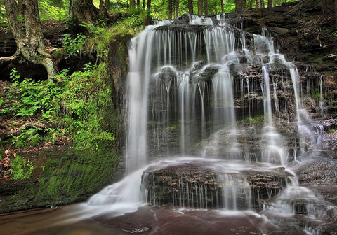 Gunn Brooks Falls White Modern Wood Framed Art Print with Double Matting by Zephyr, Patrick