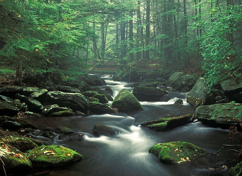 Sawmill River Black Modern Wood Framed Art Print by Zephyr, Patrick