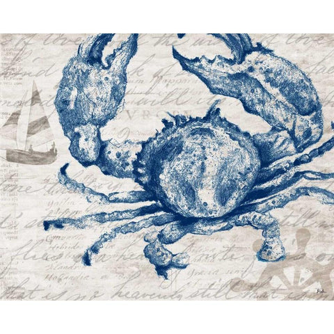 Atlantic Finds I White Modern Wood Framed Art Print by Pinto, Patricia