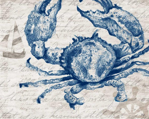 Atlantic Finds I White Modern Wood Framed Art Print with Double Matting by Pinto, Patricia